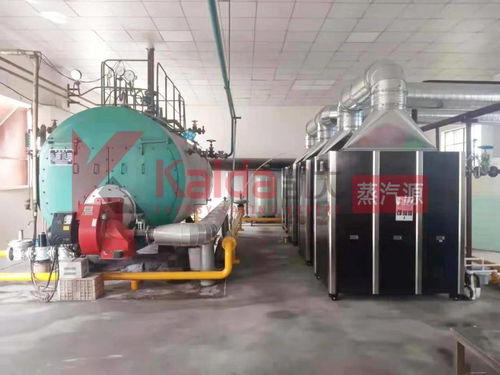 真低氮選凱大 食品廠4臺1t超低氮變頻蒸汽源機組完美替換4t傳統(tǒng)燃氣鍋爐