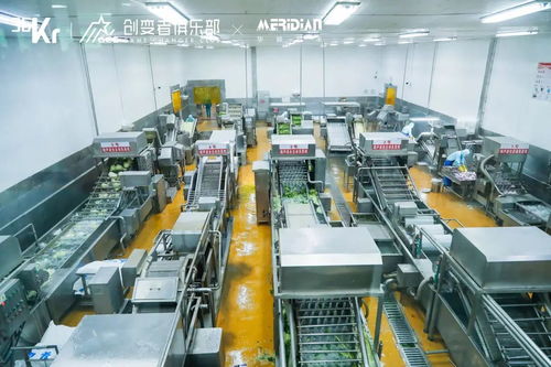 消費產(chǎn)業(yè)的增長韌性,藏在源頭工廠丨36氪產(chǎn)業(yè)帶計劃