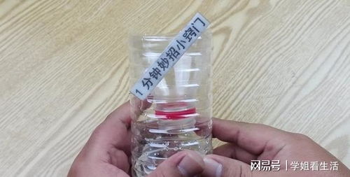 巧用塑料瓶與白糖，輕松安全消滅家中蒼蠅